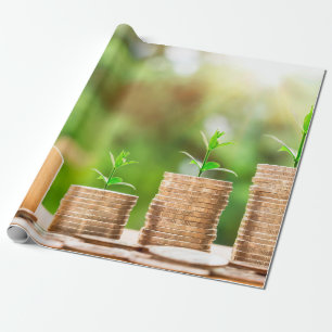 Hempengemynt investering presentpapper
