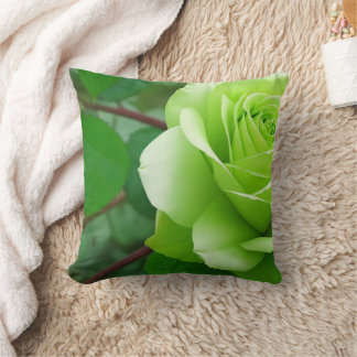 Hemsk Träffsäkra Kudd med Blommig Kransdesign Kudde