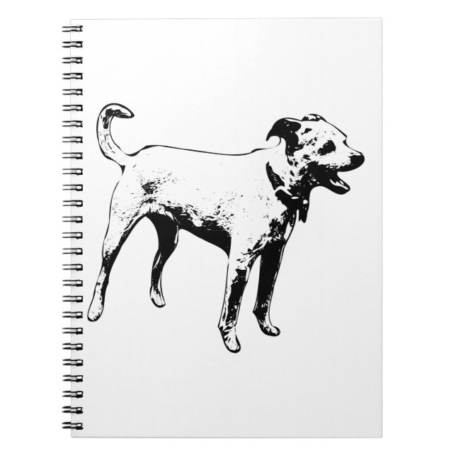 Hemsökt eko anteckningsbok (Framsidan)