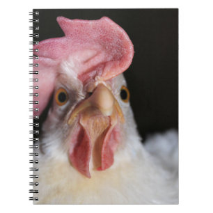 Hen Anteckningsbok