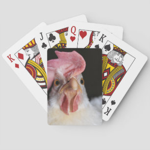 Hen Casinokort