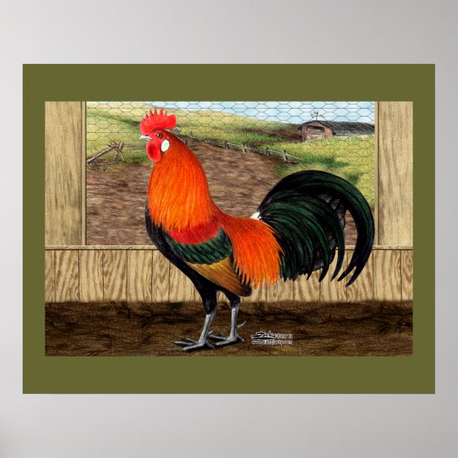 Hen House Hero Poster (Framsidan)