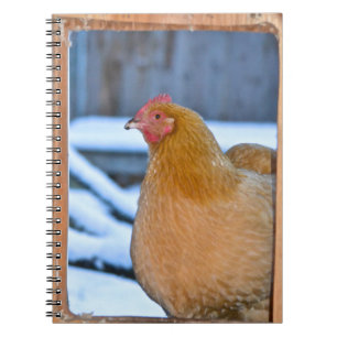 Hen i Coop Doorway-anteckningsbok Anteckningsbok Med Spiral
