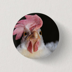 Hen Knapp