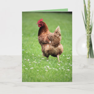 Hen Kort