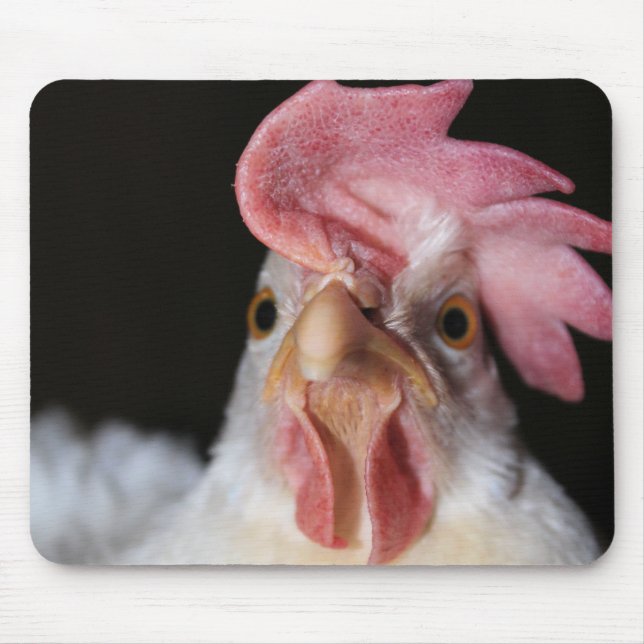 Hen Musmatta (Framsidan)