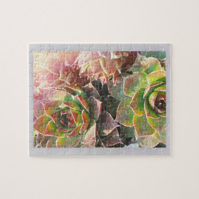 Hen och Chick Pussel (Horisontell)