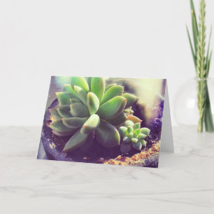 Hen och Chickar Plant Kort