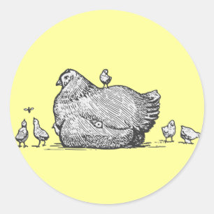 Hen och Chickar Runt Klistermärke