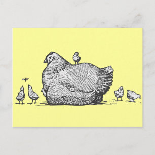 Hen och Chickar Vykort