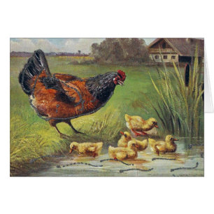 Hen och Ducklings Hälsningskort