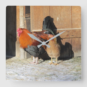 Hen och Tupp Rustic Chicken Kitchen Clock Fyrkantig Klocka