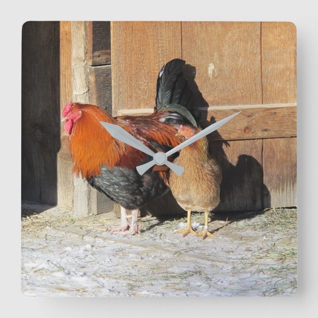 Hen och Tupp Rustic Chicken Kitchen Clock Fyrkantig Klocka (Framsida)