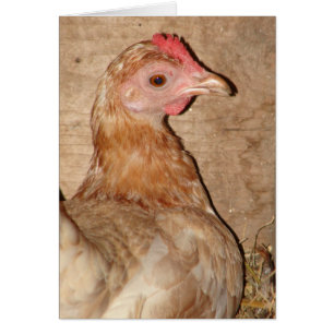 Hen on Nest Hälsningskort