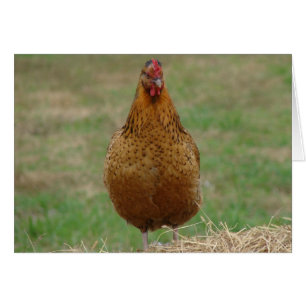 Hen på en hay Bale Hälsningskort