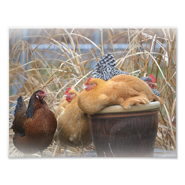 Hen Party Photo Print Fototryck (Framsidan)