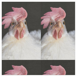 Hen Tyg