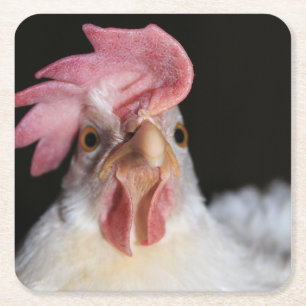Hen Underlägg Papper Kvadrat