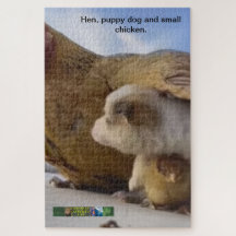 Hen, valpen hund ​ ​ och små kycklingpussel.
