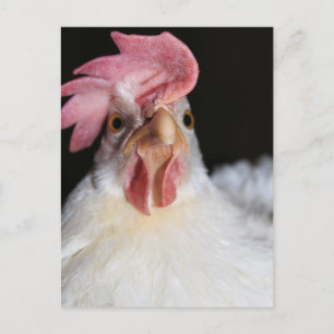Hen Vykort