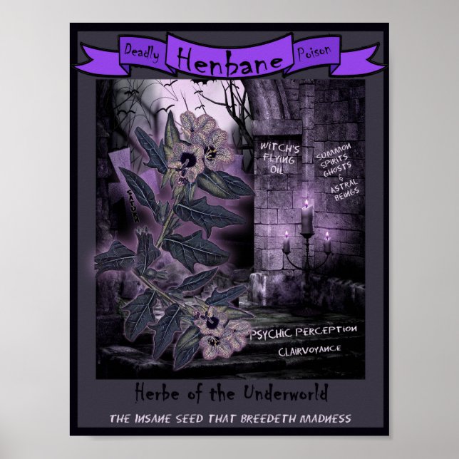 HENBANE WITCH'S HERB POSTER (Framsidan)