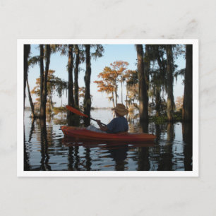 Henderson Swamp PostCard Vykort