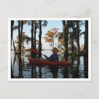 Henderson Swamp PostCard Vykort
