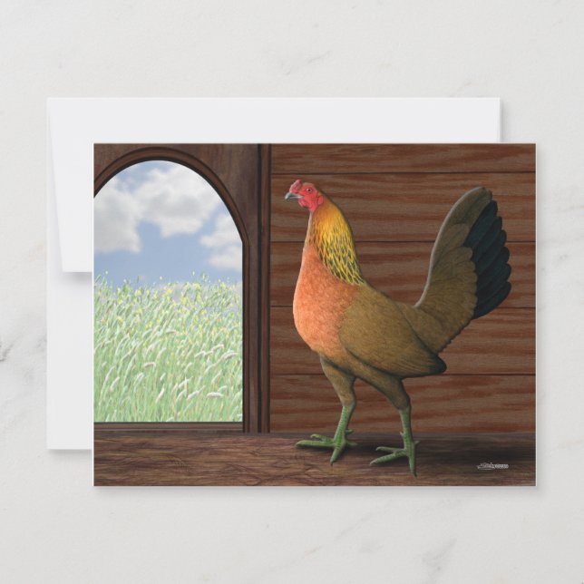 Henhouse View (Framsida)