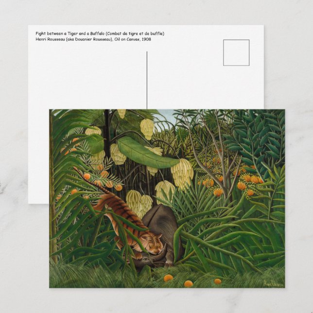 Henri Rousseau - Strid mellan tiger och buffel Vykort (Fram/baksida)