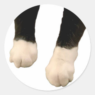 Henri Sticker - Feet! Runt Klistermärke