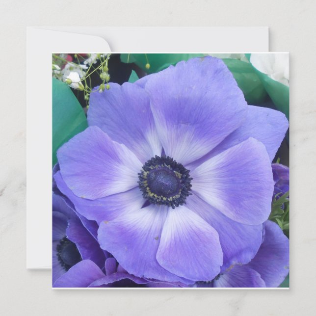 Henrietta (Framsida)