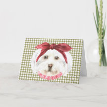 Henrietta, Havanese Greeting Card