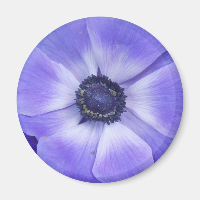 Henrietta Magnet (Framsidan)