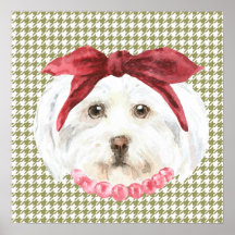 Henrietta, Poster i Havanese