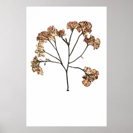 Henry Bradbury är pressad i Sjögräs 10 Poster