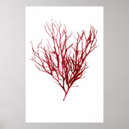 Henry Bradbury är pressad Sjögräs 9:e av tio Poster