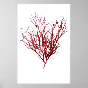 Henry Bradbury är pressad Sjögräs 9:e av tio Poster