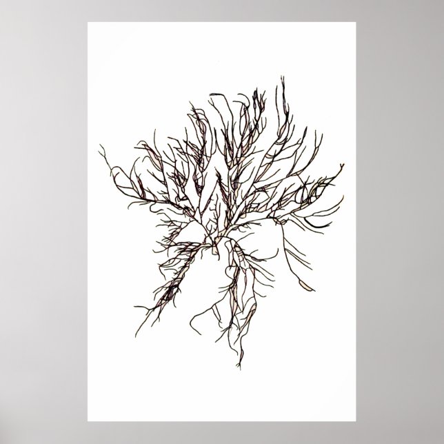 Henry Bradbury är pressad Sjögräs sjätte av tio Poster (Framsidan)