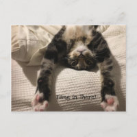 Henry Cat kommer snart uppmuntran eller sympati