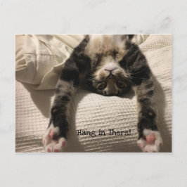 Henry Cat kommer snart uppmuntran eller sympati Vykort
