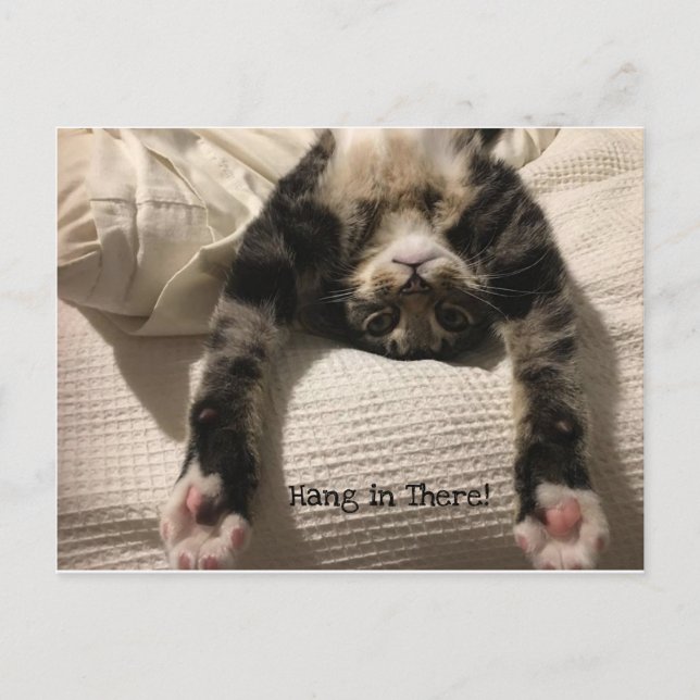 Henry Cat kommer snart uppmuntran eller sympati Vykort (Framsida)