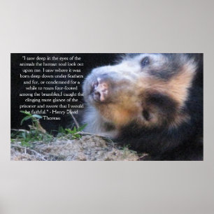 Henry David Thoreau ANIMAL HÖGERS Quote Poster