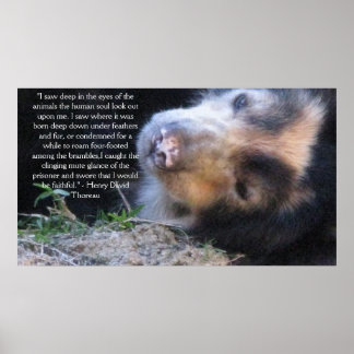 Henry David Thoreau ANIMAL HÖGERS Quote Poster