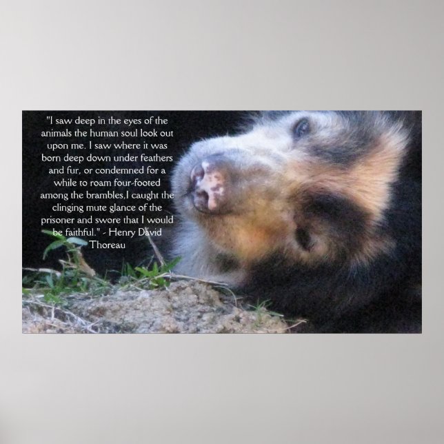 Henry David Thoreau ANIMAL HÖGERS Quote Poster (Framsidan)
