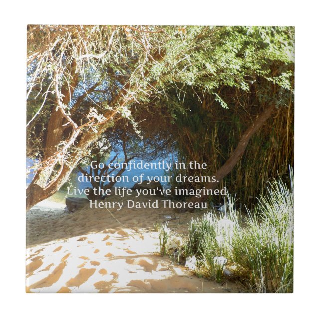 Henry David Thoreau Motivational Dream Quotation Kakelplatta (Framsidan)