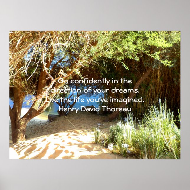 Henry David Thoreau Motivational Dream Quotation Poster (Framsidan)