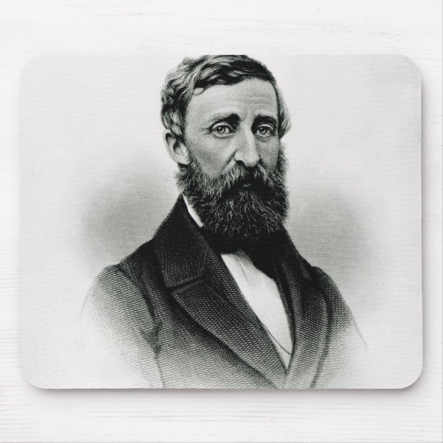 Henry David Thoreau Musmatta (Framsidan)