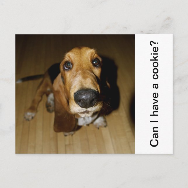 Henry Longguy Vykort (Framsida)