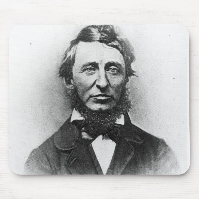 Henry Thoreau Musmatta (Framsidan)