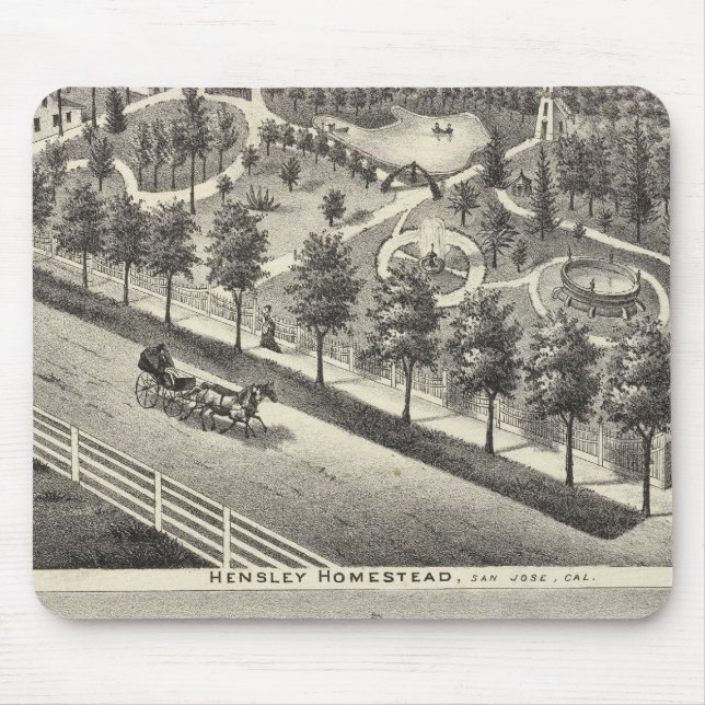 Hensley, bönor musmatta (Framsidan)